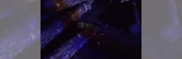 Nuevo accidente fatal de transporte forestal: Carga de madera de un camión se soltó dejando al menos dos fallecidos en la Ruta 160