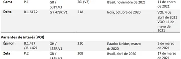 Coronavirus: Las variantes Gamma (43,0%) y Lambda (24,3%) se mantienen como las predominantes en Chile