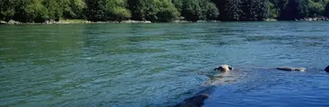 Antuco: Convocan a Encuentro de los Pueblos por el Agua, la Tierra y el Medio Ambiente