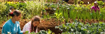 Llaman a participar en el 2do congreso chileno de Agroecología