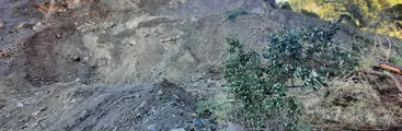 Las impactantes imágenes de la destrucción de flora nativa por una faena de áridos sin permiso en Hualqui