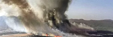 Incendios forestales afectan Europa en medio de intensa ola de calor