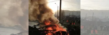 Pobladoras/es de Laraquete exigen entrega de terrenos de Forestal Arauco para solución habitacional