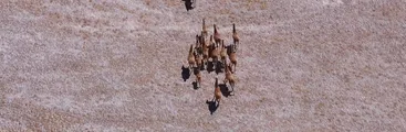 Este jueves se estrenará documental que muestra cómo podría ser destruido el salar de Maricunga por la minería de litio