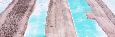 Minería del litio: Nuevo estudio evalúa degradación ambiental en humedal Laguna Santa Rosa y Salar Maricunga en Atacama