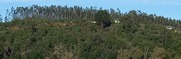Santuario de la Naturaleza nuevamente en peligro: Pobladora denunció construcción irregular, remoción de tierra y afectación de flora nativa