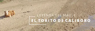 Leyenda "El Torito de Caliboro": Las consecuencias de la ambición por explotar la tierra