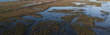 Solicitan a seremi de Medio Ambiente declarar mediante oficio como urbano al humedal Rocuant-Andalién