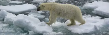 "Es nuestra última esperanza": La alerta con que se dio inicio a la COP26