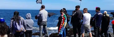 Pescadores y mariscadores de provincia de Arauco alertan de la pérdida de fuentes de subsistencia por contaminación del sector