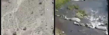 Denuncian al Ejército de Chile por arrendar derechos de agua a empresa agroindustrial en zona de escasez hídrica