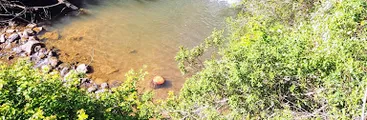 Comunidades de Penco buscan oficializar el sector de El Tranque como parque comunal