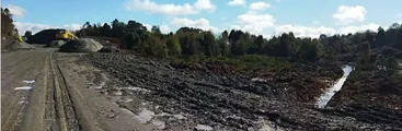 Tribunal Ambiental ordenó a Inmobiliaria Alto Volcanes SpA detener sus faenas sobre humedales en Puerto Montt