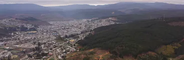 Las nuevas tomas y recuperaciones en Curanilahue: "La falta de espacio nos empuja a disputar el terreno con la industria forestal"