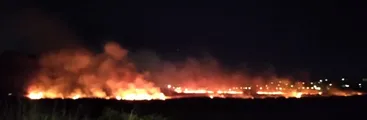 Incendio afectó al menos 7 hectáreas del Humedal Paicaví en Concepción