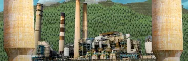 Desde 2012, el Estado entregó $65.962.813.363 al empresariado forestal a través de subsidios CORFO y rebajas tributarias