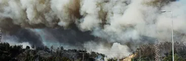 Diputado exige que Senado vuelva de vacaciones para tramitar Ley Corta de Incendios
