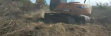 El avance de inmobiliaria Pocuro sobre Falla de San Ramón amenaza a importante bosque nativo en Peñalolén