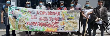 Comunidades Lavkenche de Tubul exigieron al SEA ingresar proyecto inmobiliario al Sistema de Evaluación de Impacto Ambiental