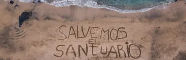 Desde campaña Salvemos el Santuario ingresan reclamación en Contraloría por rechazo a denuncias contra Consejo de Monumentos Nacionales