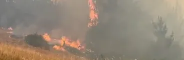Incendios forestales consumen más de 300 hectáreas en Quillón