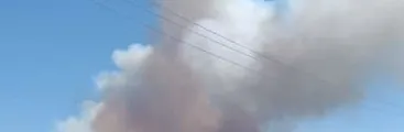 Alerta Roja por incendio forestal en Nacimiento: Humo afecta varias comunas del Biobío