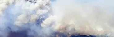 Onemi mantiene alerta roja para comunas de Angol y Los Sauces por incendio de plantaciones de monocultivo forestal