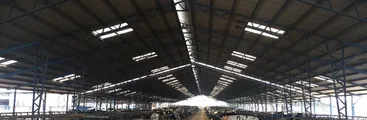 Tras denuncias de la población: SMA formuló cargos contra Agropecuaria Los Varones por elusión a Sistema de Evaluación de Impacto Ambiental