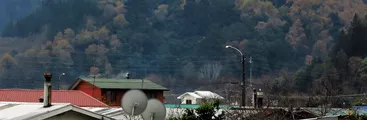 Detectan captación ilegal de agua de vertientes y tala de árboles sin plan de manejo en Chiguayante