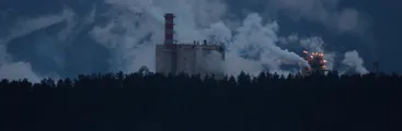 ¿Qué contienen los desechos de una planta de celulosa?