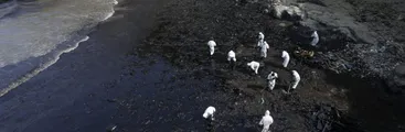 Derrame de 6.000 barriles de petróleo en Perú ha afectado veinte playas y dos reservas naturales