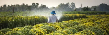 Investigación propone: “Estudiar la percepción de los agricultores/as ante la sequía, para crear comunidades más resilientes al cambio climático"