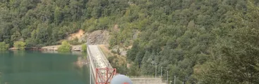 Hacia adelante y ahora hacia atrás en los derechos de la Naturaleza