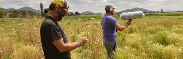 Toda la Teoría del Universo inicia su quinto Festival Artes y Tecnologías con convocatorias a talleres