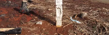 "Llamas del Despojo" el documental que muestra cómo las forestales quitaron la tierra a campesinos y mapuches por medio del fuego