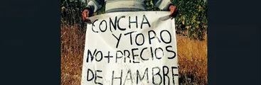 Viñateros/as sufren precios leoninos en una nueva vendimia, sin medidas de protección productiva