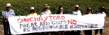 Viñateros/as envían carta a Boric: precios referenciales y compra estatal de uva y vino, algunas de las propuestas fundamentales para su sostenibilidad