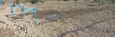 Pequeño agricultor acusa a Indap de abandonar proyecto de riego en construcción provocando la pérdida de sus cultivos 