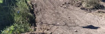 Denuncian rellenos en humedal Los Batros pese a su reciente declaración como Santuario de la Naturaleza