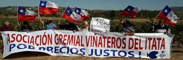 Viñateros/as: no sirve hacer lo mismo que hace diez años, urge corregir el abuso del gran empresariado e implementar la compra estatal de uva y vino