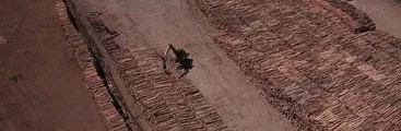 Superar el extractivismo forestal: Un proyecto socioambiental para la sustentabilidad de la vida en el siglo XXI