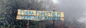 Comunidad mapuche inicia recuperación territorial de siete mil hectáreas en la Cordillera de Nahuelbuta: “Nuestro principal enemigo son las forestales y no los vecinos no mapuche”