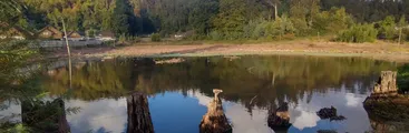 Humedal Pichi Mapu de Nonguén es reconocido como humedal urbano