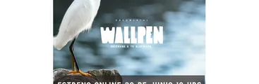 Documental "Wallpen: mirar a tu alrededor" será estrenado esta tarde en YouTube y Facebook