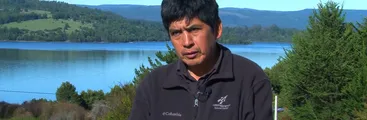 Exvocero de la CAM José Huenchunao: "No estoy de acuerdo cuando se habla del robo de madera, eso es parte de los recursos que tienen nuestras comunidades después de haber recuperado sus tierras"