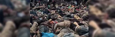 Tragedia en Melilla: 23 migrantes muertos al intentar pasar la frontera