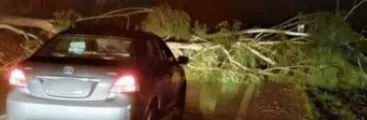 Resistencia Mapuche Malleco copa carreteras y ridiculiza la presencia militar en el Wallmapu