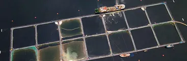 Comisión Mixta rechazó artículo de Ley SBAP que prohibía instalaciones salmoneras en áreas protegidas