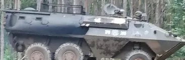 Nuevo trauma ocular: Carabineros desalojó con perdigones la recuperación territorial mapuche Lov Vilo Los Huapes en Arauco