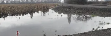 Abren investigación contra Aes Andes por posible incumplimiento de su Resolución de Calificación Ambiental en cuestionado parque eólico Campo Lindo de Los Ángeles
